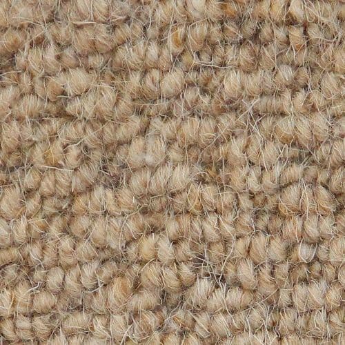 CFS Auckland 100% Wool Hive Corn 395 Carpet | £9.24 m2 + Vat