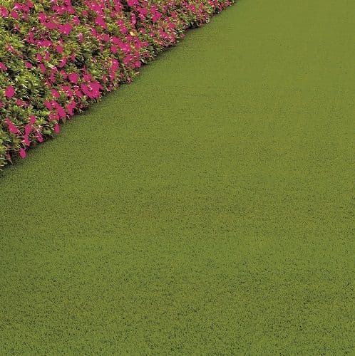 CFS Cotswold Luxury Lawns Artificial Grass