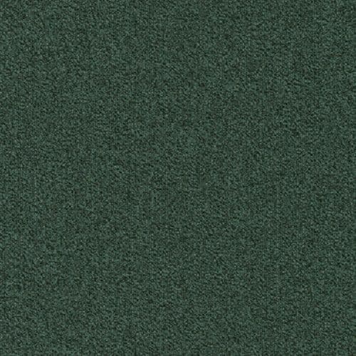 CFS Precision Solidz Brazil Carpet Tiles £18.13 m2 + Vat