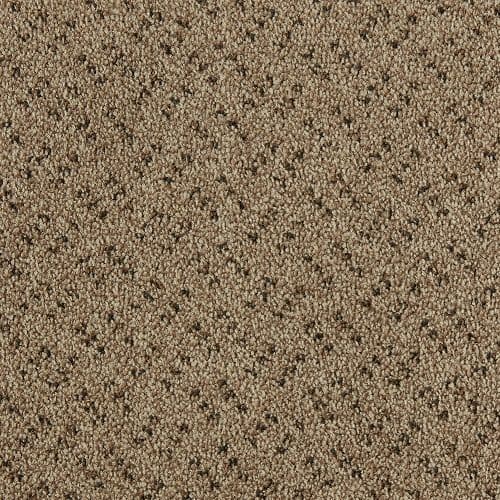 CFS Scala Solutions Flax 230 Carpet
