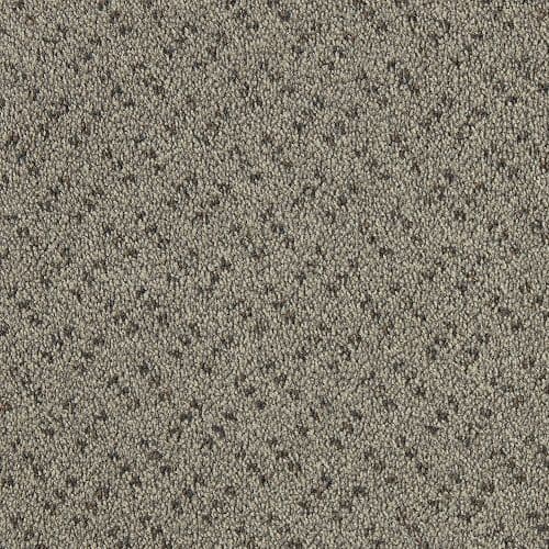 CFS Scala Solutions Granite 860 Carpet