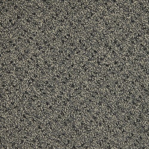 CFS Scala Solutions Silver 870 Carpet