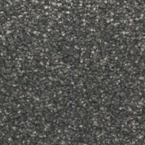 CFS Silk Harmony Ashes 734 Carpet (Limited Stock Please Call)