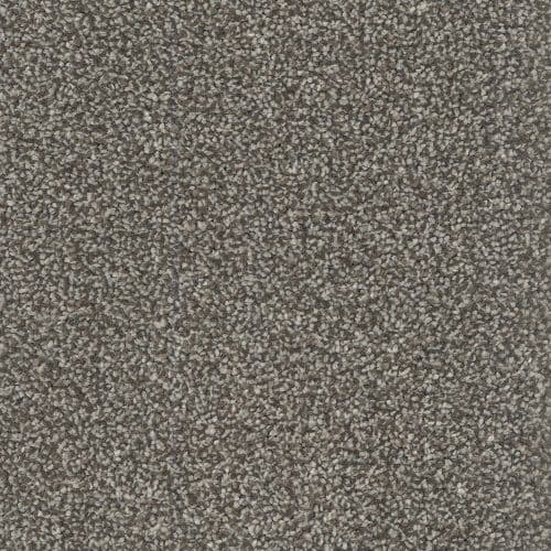 CFS Silk Harmony Soft Taupe 224 Carpet (Limited Stock Please Call)