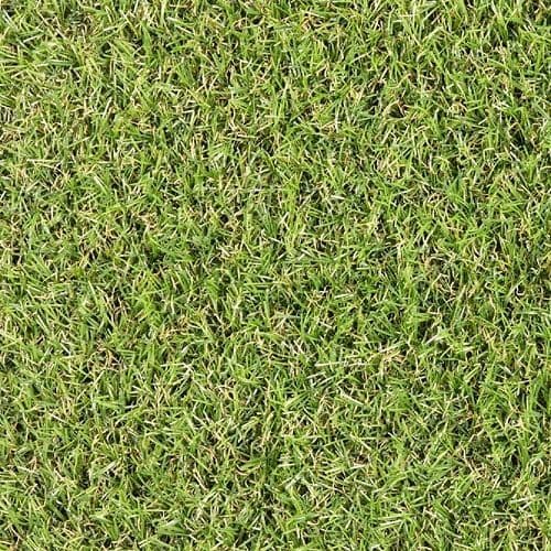 CFS Spring Lavish Lawns Artificial Grass
