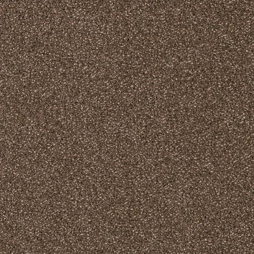 CFS Varsity Collection Tawny Carpet