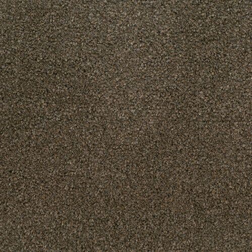 Condor Revolution Latte 91 Secondary Back Carpet