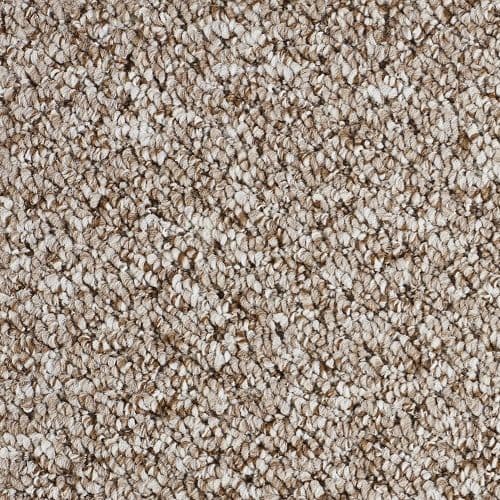 Ideal Sweet Home Coconut 995 Secondary Back Carpet