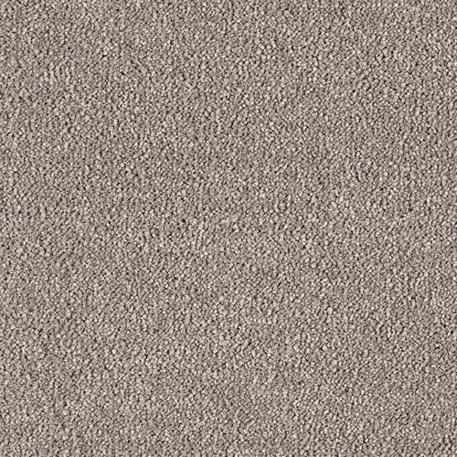 Lano Genius Limestone 272 Carpet (Limited Stock Please Call)